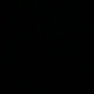 Meet your Posher, Lindsay